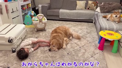 パパの声が元に戻ると…