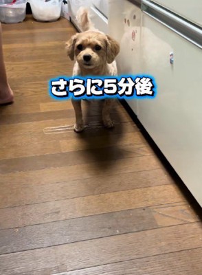 すべての感情を出し尽くした