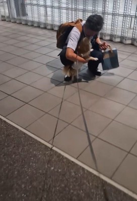 CoCoちゃんとパパさんの再会6