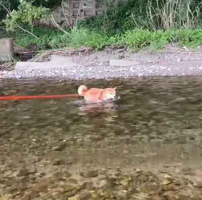 川の流れは掴めない…