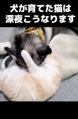 足蹴りをかます一幕も