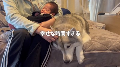 みんなで寄り添う姿にホッコリ