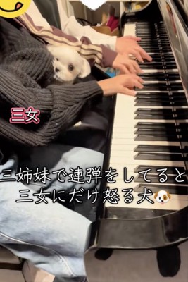 三女さんの袖をカプ！