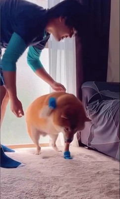 靴を履いたサブローくん3