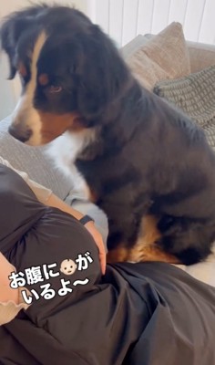 「そうなの!?」