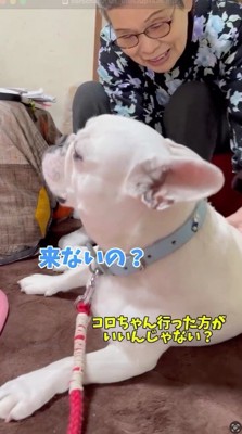 犬に話しかける男性