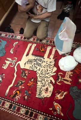 抱っこしてもらう小型犬