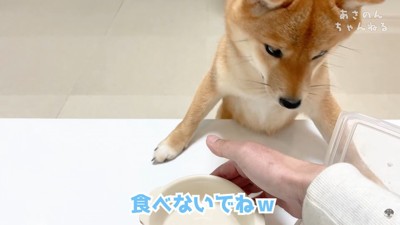 待ちきれないのんちゃん