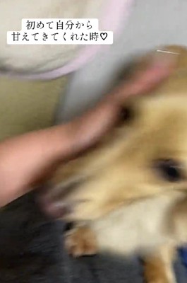 投稿主さんもびっくり!