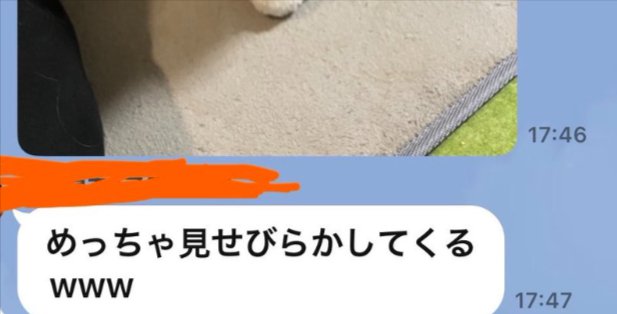 メッセージ