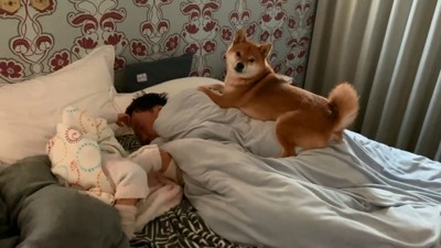 ママを見る花子ちゃん