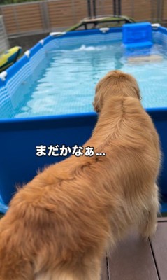 2人の女の子とシンバくんの夏休み3