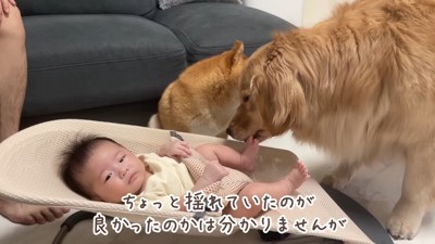 兄から教わったあやし方？