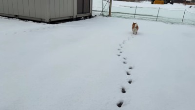 向かった先は…