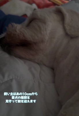 狭いけど可愛い…