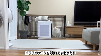 ポテチくんとレモンさんの再会5