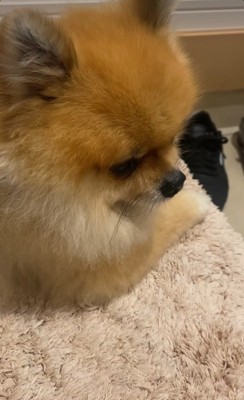 健気に待ち続ける姿が愛おしい
