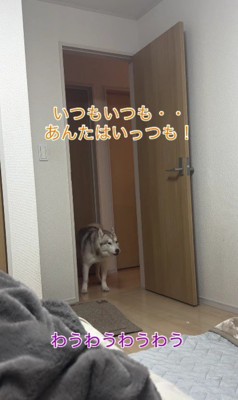 「いつもいつも！！」