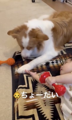 手を伸ばす赤ちゃん