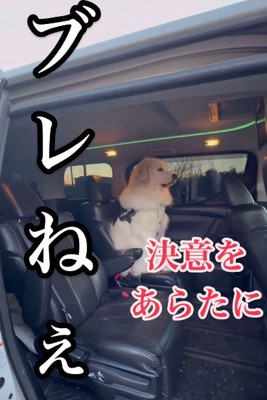 「そんなんじゃ釣れねえ」