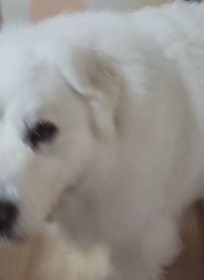 「会いたかったよ…」