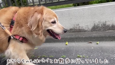 ちょっぴり寂しくなってきた？