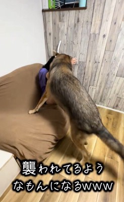 つな君の愛情表現7