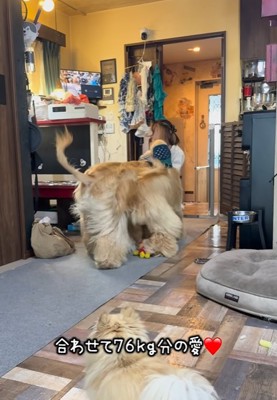 大型犬を受け止める長女