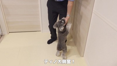ティノちゃんとパパさんの再会4