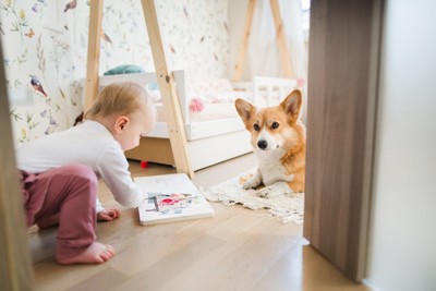 絵本を見ている赤ちゃんと犬