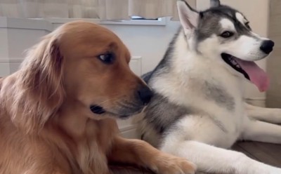 「もしかして…」