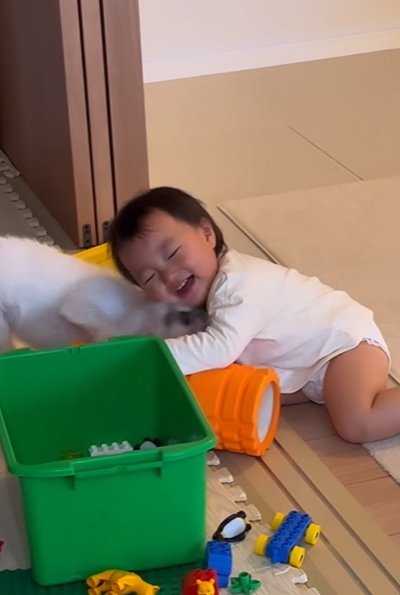 顔を舐められて笑う赤ちゃん