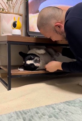 テレビ台の中の小型犬を引っ張る飼い主