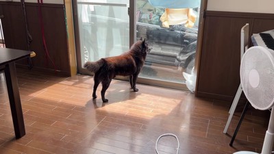 「もう行っちゃった?」