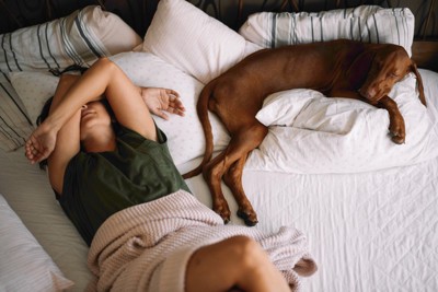 大型犬と一緒に寝づらそうな飼い主