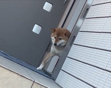 葛藤