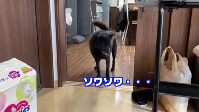 赤ちゃんが心配で仕方ない
