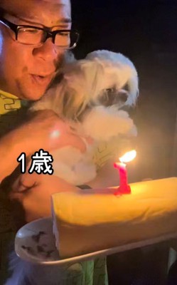 ケーキのろうそくを見つめる犬と男性