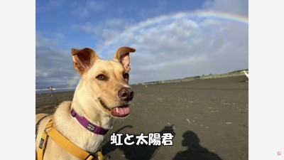 太陽くんも幸せそう！