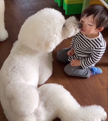 男の子の誕生日