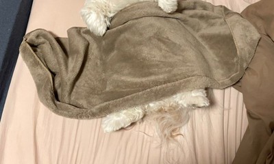 くしゃみの音に驚いて…