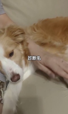 診断名はいかに！？