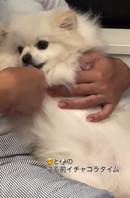 大切なルーティンです