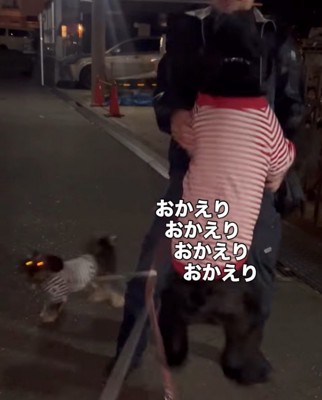 男性と会えて嬉しそうにはしゃぐ2頭の犬