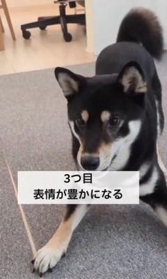 感情表現豊かに♡