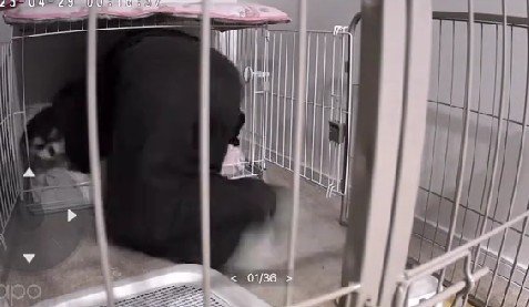 ベッドに向かって…