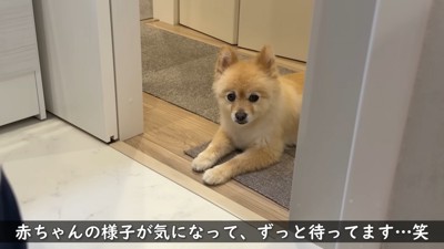 見守ってくれています