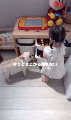 まこちゃんにピッタリ