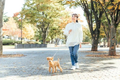 河川敷で犬に引っ張られる女性