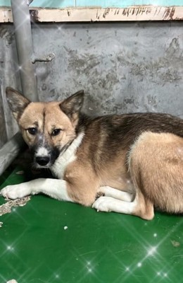 オリの中のりりィちゃん